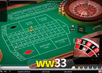 Live Casino ww33